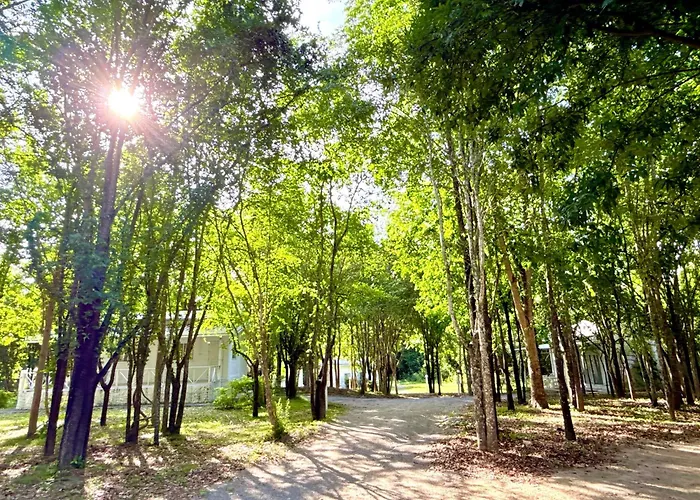 The Golden View * สวนผึ้ง